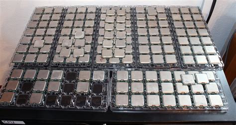buying cpus from silicon lottery.
